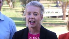 反对党的布里奇特·麦肯齐（Bridget McKenzie）抨击艾博年政府剥夺各地区在 $9.6b 基础设施闪电战中的资金