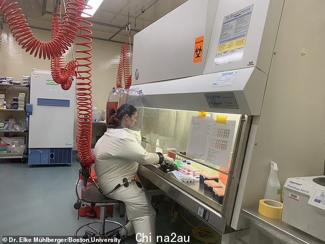 在这些实验室中可以进行最危险的研究类型,涉及高传染性病毒,例如 Covid 和 Ebola
