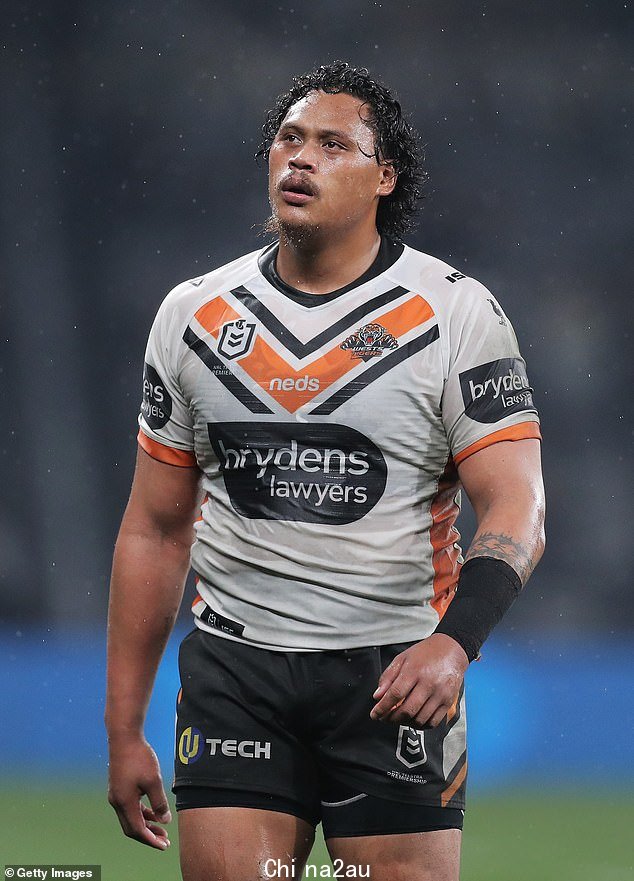 2020 年 7 月 10 日,南悉尼兔子队和西部老虎队在 Bankwest 体育场举行的第九轮 NRL 比赛中,老虎队的 Luciano Leilua 观看比赛