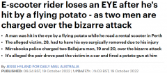 飞来横祸！澳男路边骑踏板车，不料竟被土豆击中，眼球被摘除（组图）