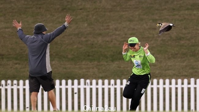 悉尼雷霆队的球员被鸻扑向田野。图片：Brendon Thorne, Getty Images