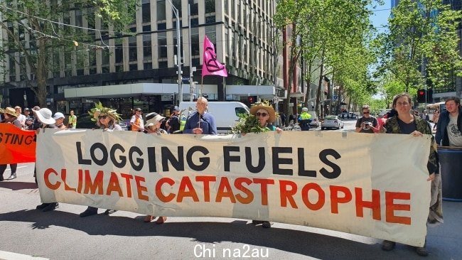 Extinction Rebellion 抗议者关闭墨尔本中央商务区以抗议森林砍伐。图片：Mitch Ryan, Herald Sun