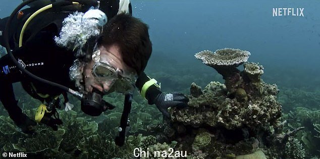 Efron 在他的系列之旅中访问过哥斯达黎加、英国、法国、冰岛、意大利、秘鲁和波多黎各等地