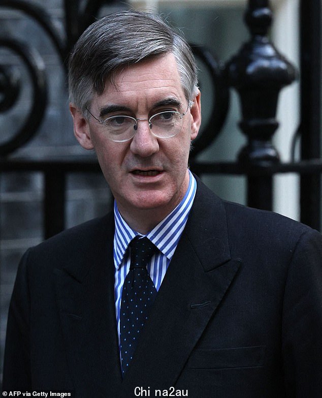 副总理 Therese Coffey 和商务部长 Jacob Rees-Mogg,如图,被指控通过投票大厅对国会议员进行“粗暴对待”——两位部长都否认了这一说法