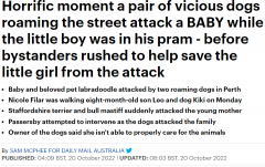 惊险！澳洲宝妈带婴儿散步，突遭恶犬袭击，幸好路人仗义出手...（视频/组图）