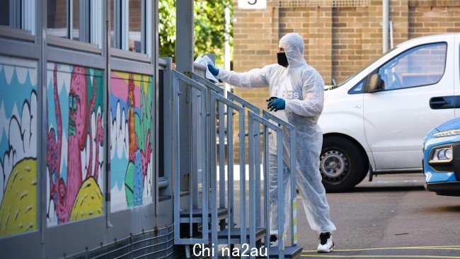 它还发现关闭“整个学校系统”是“错误的”,尤其是在它关闭之后众所周知,教室不是高传播环境。图片:NCA Newswire /Gaye Gerard