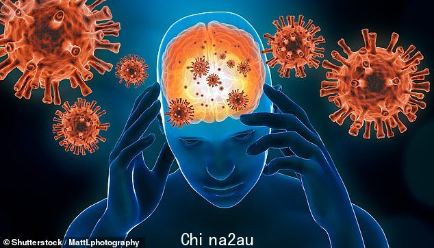 该病可引起包括脑部在内的严重症状肿胀麻痹昏迷分类s=