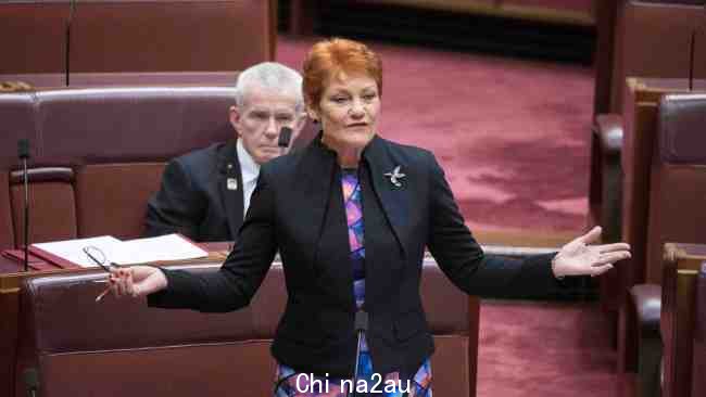 参议员 Pauline Hanson 据称在过去两个月收到了死亡威胁。图片:NCA NewsWire / Gary Ramage