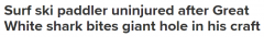 澳男冲浪遭大白鲨袭击，冲浪艇被咬穿！幸运逃脱后直言“要去买彩票”（组图）