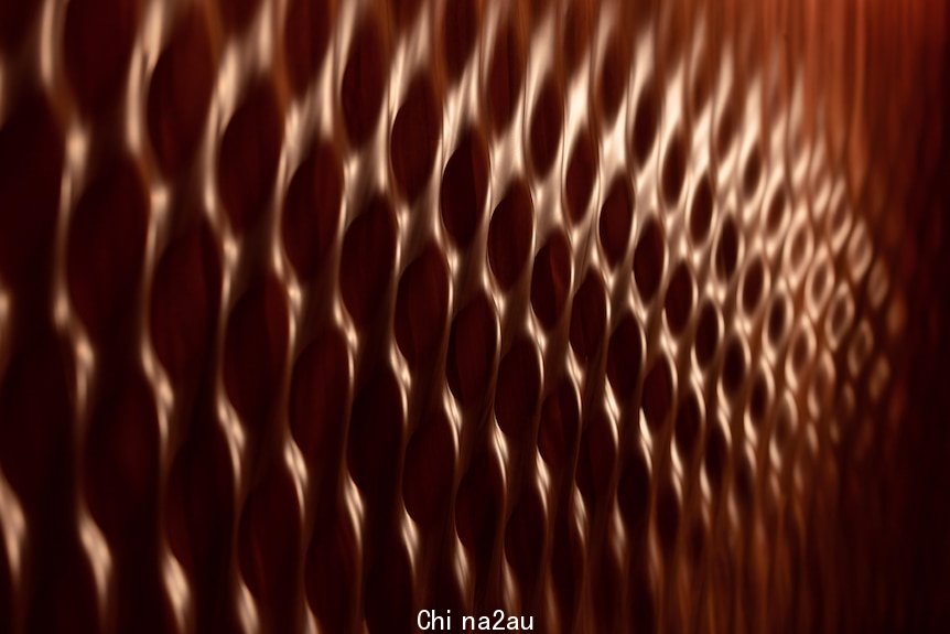 A close up of undulating wood paneling in the Opera House's Concert Hall that looks like wave ripples.