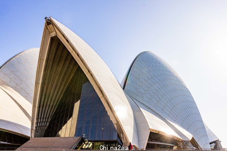 White tiled sails of the Sydney Opera House peak up into a clear blue sky.