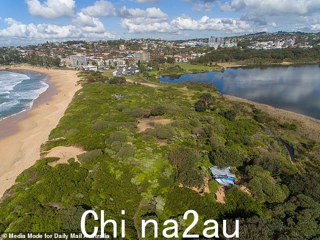 三个临时的无家可归者营地,最适合w 在整个 Covid 大流行期间,都位于 Dee Why Beach 的沙丘