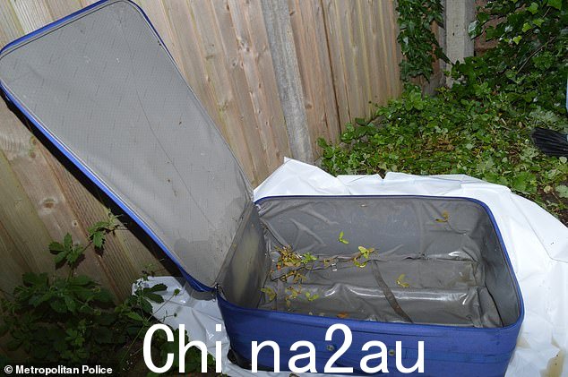 用于将 Chong 女士的无头尸体运送到发现她的德文郡的手提箱