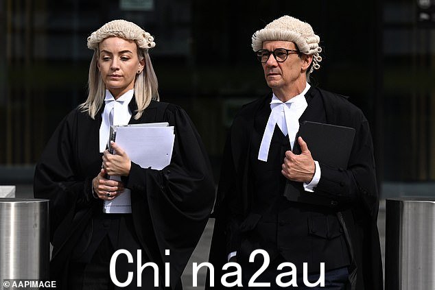 检察官斯凯杰罗姆(左图)提醒法庭,莱尔曼在要求一系列保释限制时仍被控性侵犯