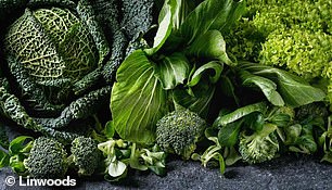 营养师建议增加绿叶蔬菜的摄入量以提高镁含量vels