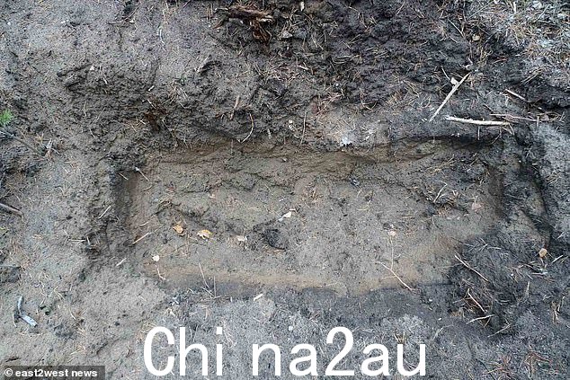 32 岁的斯维里多夫的尸体在文泰村附近的坟墓中被发现,检察官认为他是被迫自掘坟墓的