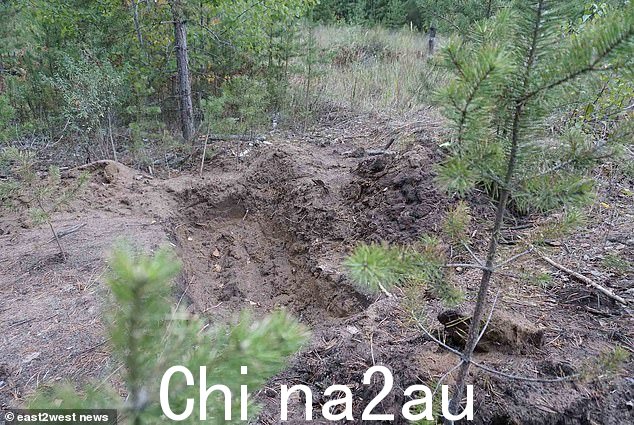 马特罗索夫,35 岁,强迫他以前最好的朋友在俄罗斯萨马拉地区自掘坟墓