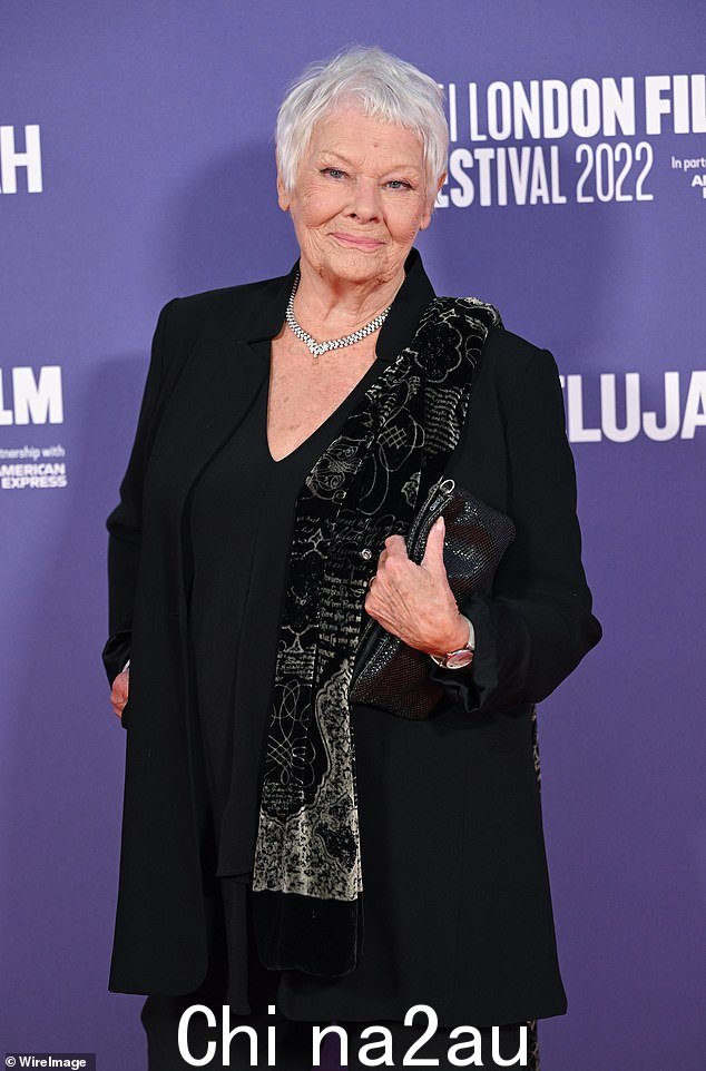 Pryce 的评论是在 Judi Dench 对该节目发起严厉批评后发表的,她说她担心一些观众可能会认为这是事实准确