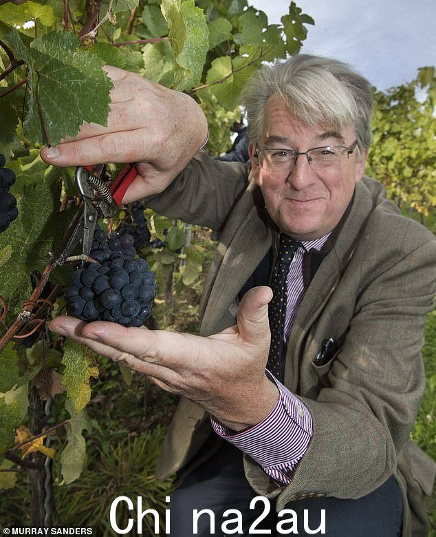 Robert Hardman 参观了肯特的 Domaine Evremond 葡萄园,那里正在生产 Champagne Taittinger