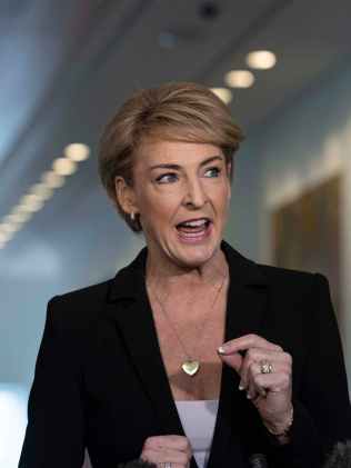 Senator Michaelia Cash 告诉 Albanese 先生要面对媒体，并告诉澳大利亚人正在采取的预防措施以确保他们的安全。图片：NCA NewsWire / Gary Ramage