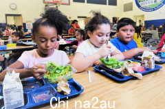 维州1000所学校学生居然能吃“霸王餐”！维州政府太给力了…（组图）