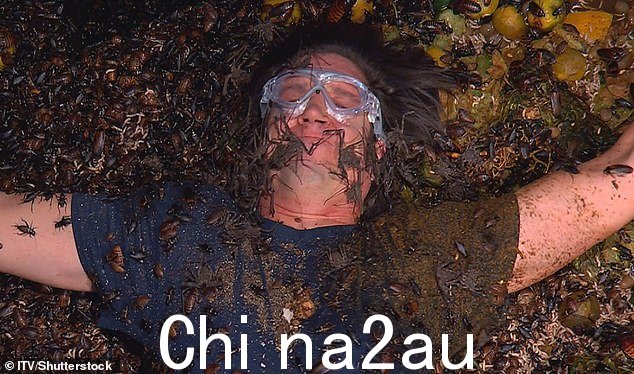 哦,天哪!专家承认他们已经看到蟑螂的“大量增加”,而有人警告说,“蚊子”是主要问题(图:2020 年的弗农凯)
