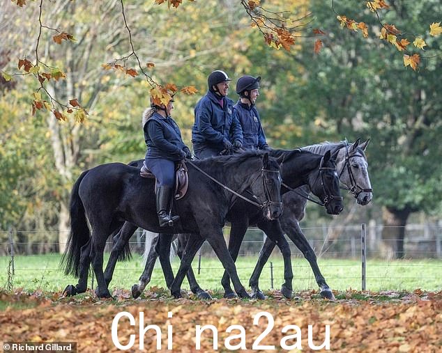 秋日里,约克公爵精神焕发,再次骑马