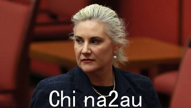 Senator Hollie Hughes 警告说,这些变化只会“推高”价格.图片:NCA NewsWire / Gary Ramage