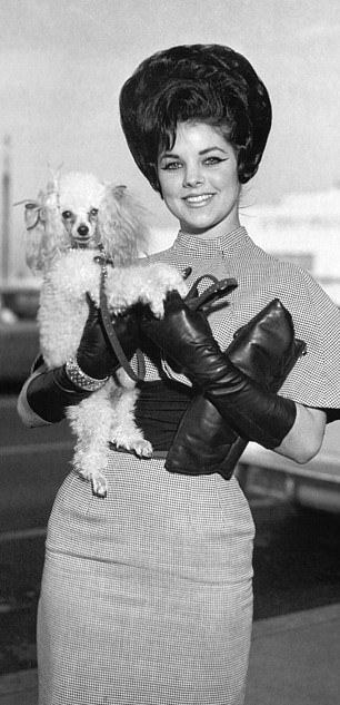 变形:Priscilla 拍摄于 1963 年