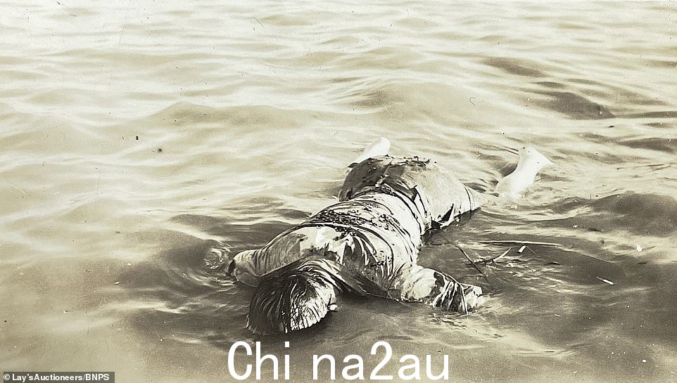另一幅图像显示一个人的身体面朝下漂浮在河中。照片拍摄于中国内战第一阶段