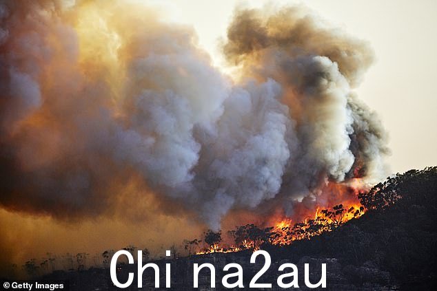 去年发表在《柳叶刀》杂志上的一项研究宣布气候焦虑在世界各地的儿童和年轻人中“普遍存在”(图为:澳大利亚失控的丛林大火) =