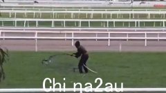 在墨尔本杯日比赛开始前几个小时，“问题赌徒”将 1000 升“油泥”倾倒在弗莱明顿草坪上