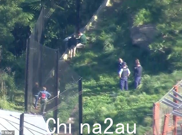 警察和动物园工作人员正在检查狮子的萨凡纳围栏(上图)