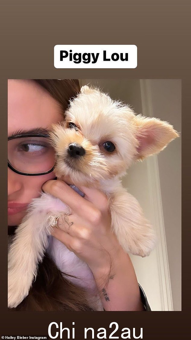 即时联系:Hailey 拿着她的毛皮球时戴上了眼镜和结婚戒指
