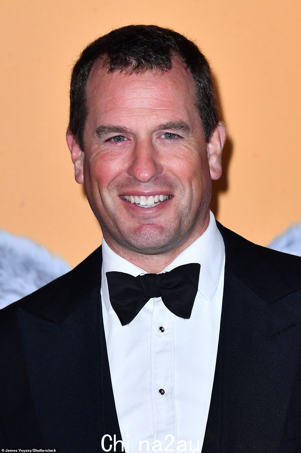 Peter Phillips (如图) 是 Zara Phillips 的兄弟和安妮公主的儿子,使他成为威尔士亲王的堂兄
