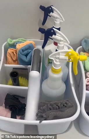 这位女士将她的产品整理成不同的球童,图中是浴室球童(左)和厨房球童(右)