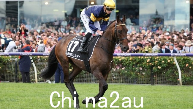 骑着 Emissary 的骑师帕特里克·莫洛尼(Patrick Moloney)在周二的墨尔本杯赛期间因骑马不慎被罚款。图片:George Sal/Getty Images