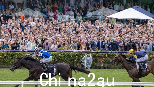 Gold Trip - 由 Mark Zahra 驾驶,由 Ciaron Maher 和 David Eustace 训练 - 赢得墨尔本杯,Patrick Moloney 驾驶 Emissary 获得第二名.图片:NCA Newswire/Jason Edwards