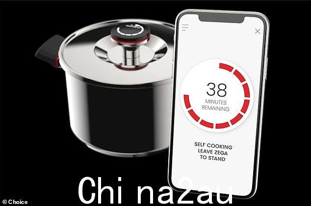'Zega Digital 锅(如图)真的让我们失望了。当我们的专家根据 Zega 应用程序的食谱烹制鸡肉时,鸡肉部分是生的,酱汁很稀,蔬菜没有煮熟,' Dart 女士说