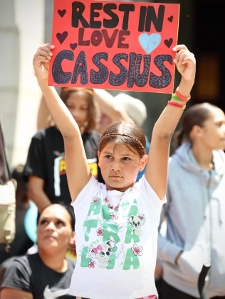 周三早些时候在珀斯举行的 Cassius Turvey 集会期间，支持者举着标语。图片：Matt Jelonek/Getty Images
