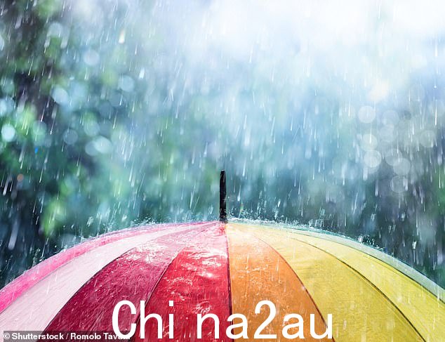 尽管你的祖母警告过,湿头发不会让你对病毒更有吸引力,只是湿头发不会让你更容易生病。感冒、流感和 Covid 等病毒是通过体液传播。因此,当有人打喷嚏、咳嗽或擤鼻涕时,病毒可能会通过飞沫传播