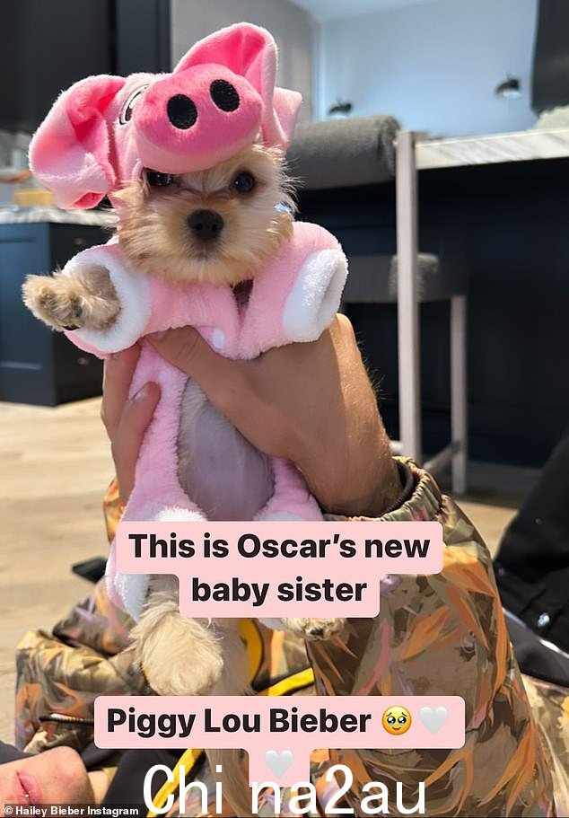 Baby Bieber:周二,25 岁的超模和她 28 岁的超级歌手丈夫在 Instagram 上宣布,他们已经收养了一只名叫 Piggy Lou Bieber 的小狗,一个女孩