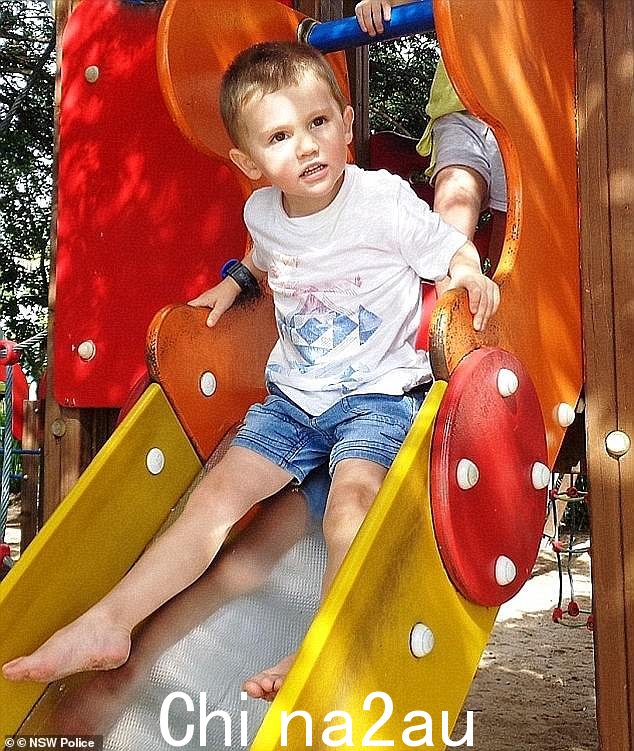 William Tyrrell 的养母在去年 11 月新南威尔士州犯罪委员会举行的闭门听证会录音中,坚决否认她将她三岁的养子的遗体“放置或倾倒”在肯德尔的一所骑术学校附近” class=