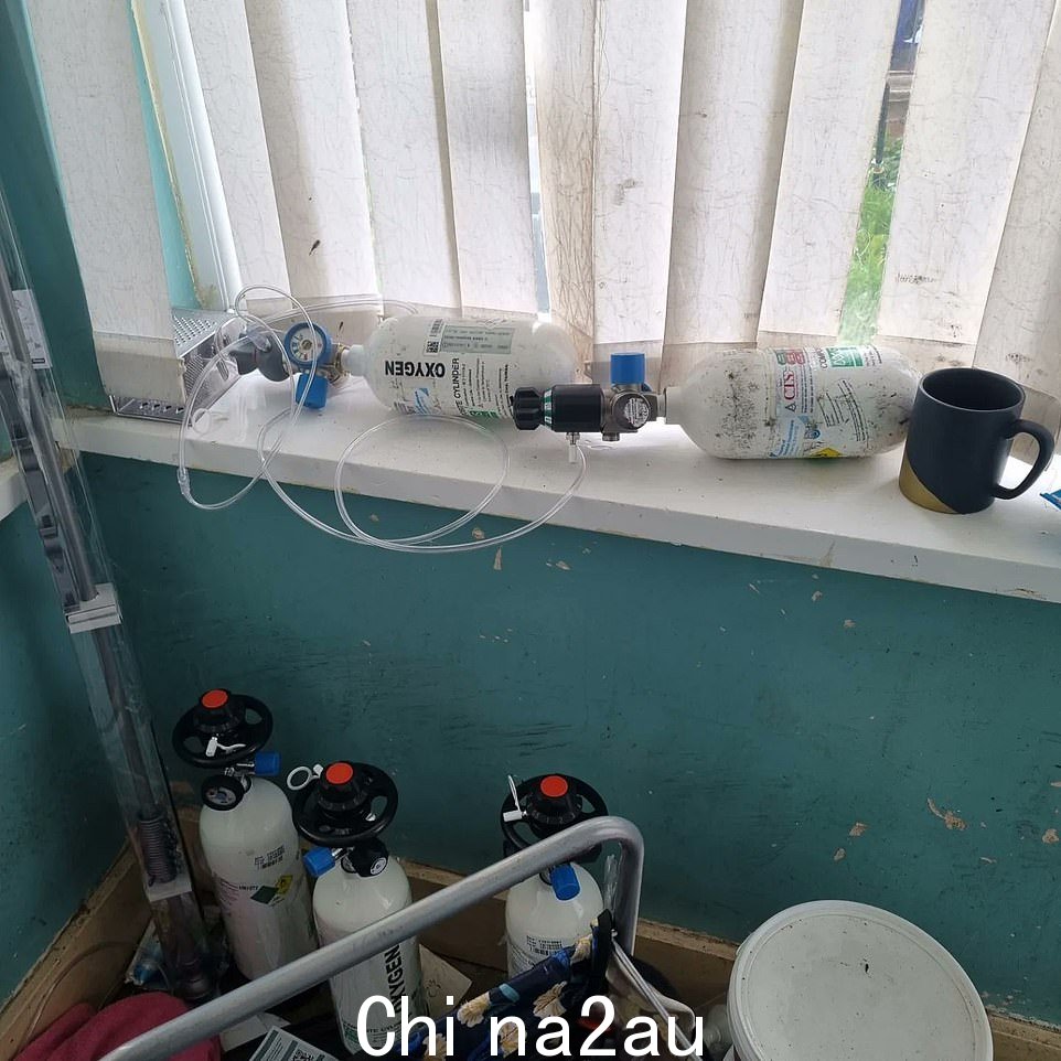 艾琳住在利物浦附近的休顿,她很脆弱并且依赖氧气罐,这使得她的生活条件极其危险
