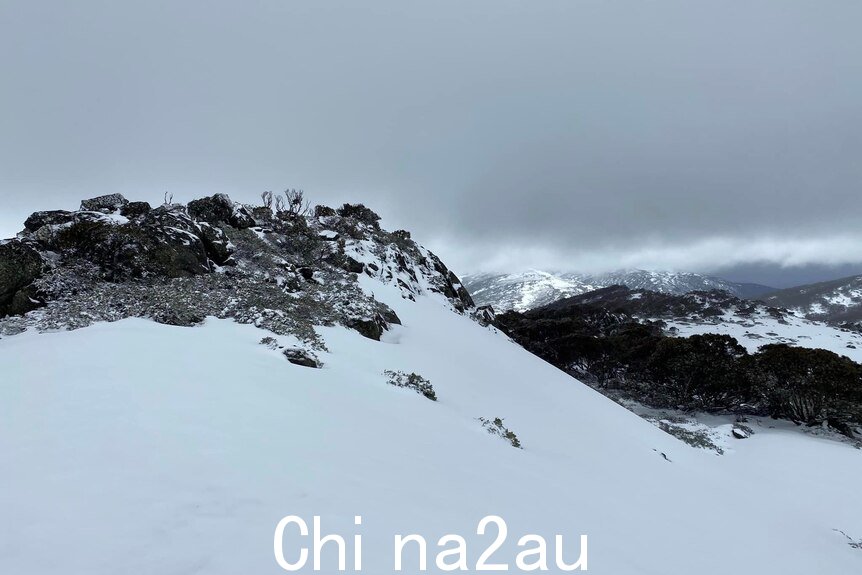 A snow-covered mountain beneath a grey sky.
