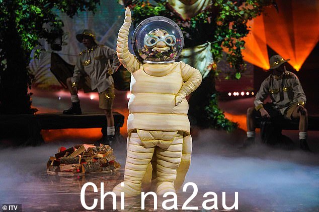 丛林热!为了庆祝我是名人的全新系列,蒙面歌手正在享受它自己的丛林热,其中有一个以小动物为角色的特别剧集(图为 Wichetty Grub)