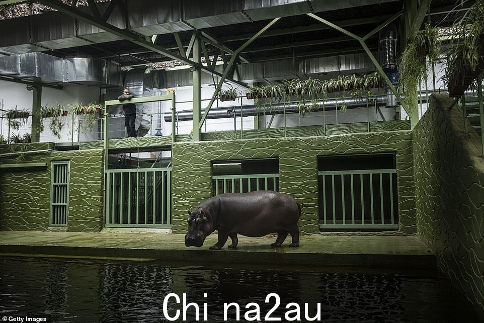 动物园是乌克兰唯一一个全年开放的动物园,但对于那些在爆炸中拼命保护动物安全的业主来说,这已成为一个问题