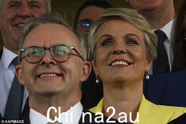 环境部长 Tanya Plibersek 已批准环保组织的合法投标,要求重新评估 18 个项目th 更加关注他们的气候影响