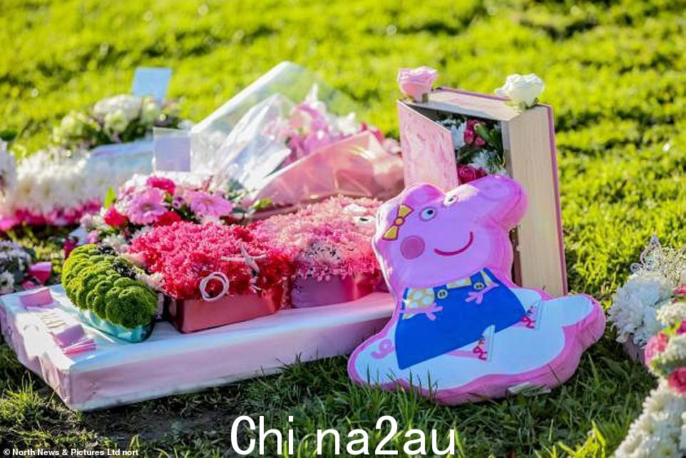 '我非常爱你 Maya Louise Chappell,你全家也一样,' Maya 的父亲说。图为:昨天在玛雅的葬礼上向玛雅致敬的粉红色小猪佩奇”class=