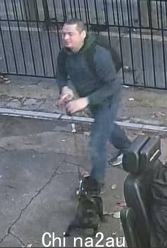 闭路电视画面显示,本周早些时候,嫌疑小偷走到狗跟前,随意解开他的铅绳,然后和他一起漫步在街上